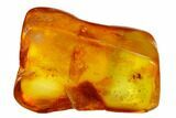Three Fossil Flies (Diptera) In Baltic Amber #150747-4